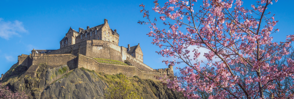 Edinburgh Head Office - Coulters Property